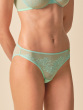 Glossies Lace Brief - Brook Green