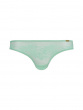 Glossies Lace Brief - Brook Green