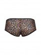 Glossies Leopard Short - Animal Print