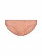 Glossies Lotus Brief - Cafe Creme