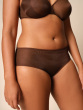 Glossies Short - Rich Brown