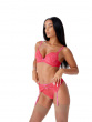 Superboost Lace Suspender - Rose Red