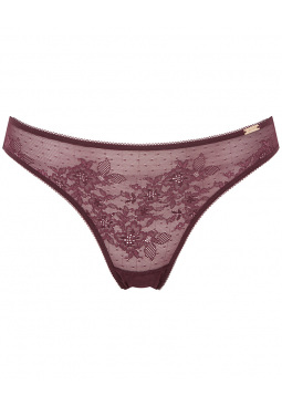 Glossies Lace Brief - Fig