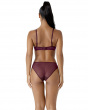 Glossies Lace Brief -Fig. Sheer mesh brief with delicate floral lace , Gossard luxury lingerie, brief back model

