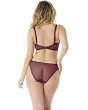 Glossies Lace Brief -Fig. Sheer mesh brief with delicate floral lace , Gossard luxury lingerie, DD+ back model
