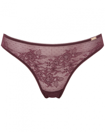 Glossies Lace Brief -Fig. Sheer mesh brief with delicate floral lace , Gossard luxury lingerie, front brief cut out
