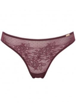 Glossies Lace Brief -Fig. Sheer mesh brief with delicate floral lace , Gossard luxury lingerie, front brief cut out
