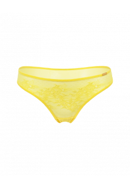 13003_PRS_1.png