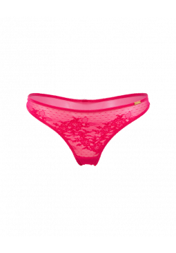 13006_HPK_1.png