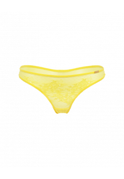 13006_PRS_1.png