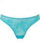 Glossies Lace Brief - Turquoise Sea. Sheer mesh brief with delicate floral lace , Gossard luxury lingerie, front brief cut out
