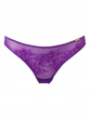 Glossies Lace Brief - Ultra Violet