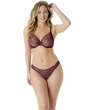 Glossies Lace Brief -Fig. Sheer mesh brief with delicate floral lace , Gossard luxury lingerie, DD+ brief front moel
