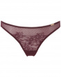 Glossies Lace Thong  - Fig. Sheer mesh thong with delicate floral lace, Gossard luxury lingerie, front thong cut out

