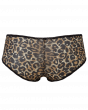 Glossies Leopard Short-Animal Print . Sheer short, almost see-through lingerie. Gossard lingerie, back short cut out
